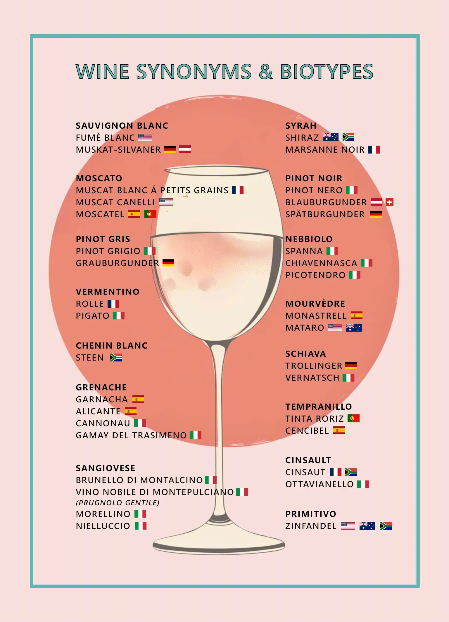 wine synonyms infographic